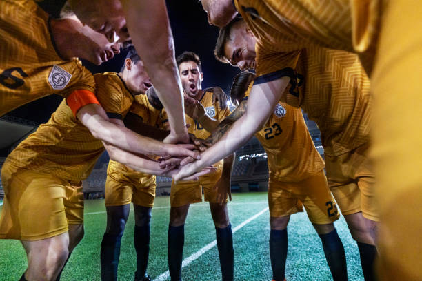 这无疑为司 这无疑为司